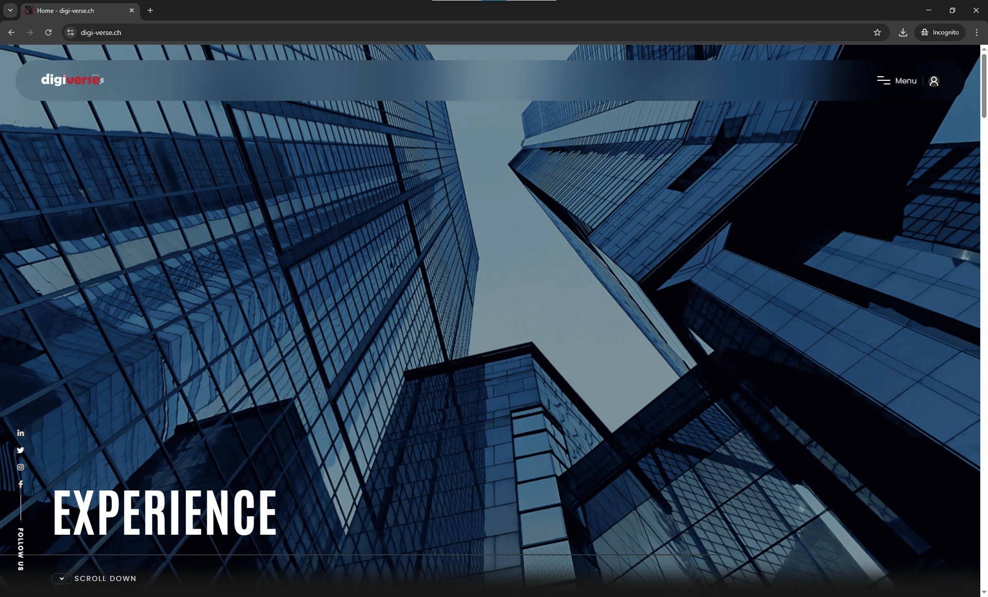 DigiVerse Premium Web Design